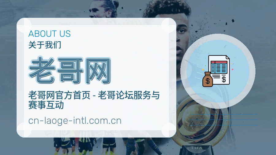老哥网便捷访问服务说明
